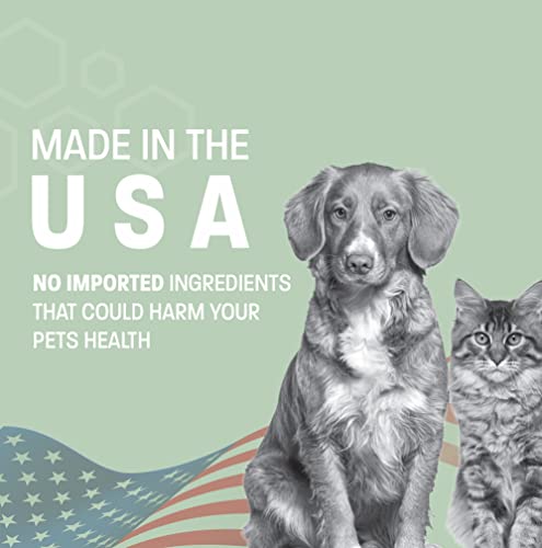 Dog Breath Water Additive  Cat  Dog Water Additive for Dental Care  Dog Dental Water Additive for Dogs Teeth and Bad Breath Treatment for Dogs and Cats  Odorless  Tasteless  8 Oz  Cucciolini Doodles Dog breath water additive  cat  dog water additive for dental care  dog dental water additive for dogs teeth and bad breath treatment for dogs and cats  odorless  tasteless  8 oz   cucciolini doodles