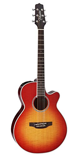 Takamine PTU121C GBB アコースティックギター 41e1MGauoVL.jpg