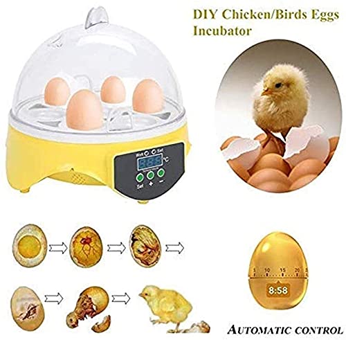 Ei incubator Automatische Mini 7 Eieren Intelligente Hatcher Temperatuur Controle Ei Pluimvee Hatcher voor Kippen Eenden… - Afbeelding 4