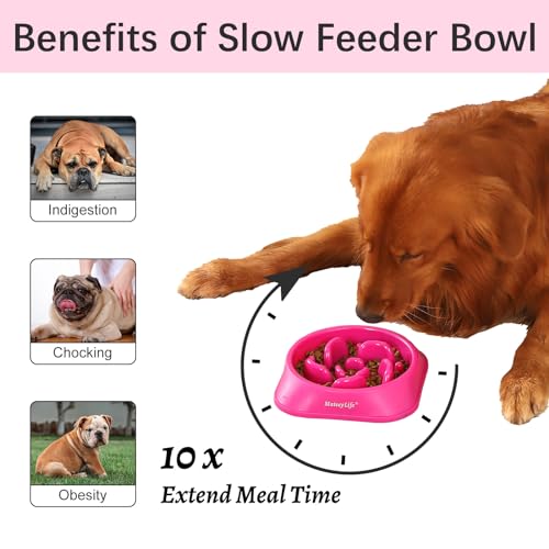 Mateeylife Hundenapf, Anti Schling Napf Hund für MittelgroßE und GroßE Hunde, Slow Feeder Hund FöRdert Eine Gesunde Verdauung,1 Stück Mittlere, Rosenrosa