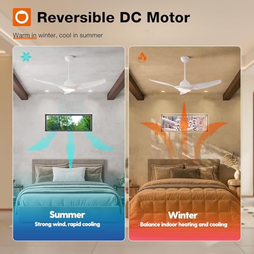 Smart 52 Inch Ceiling Fan with Lights and Remote Control for Bedroom or Farmhouse