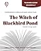 Witch of Blackbird Pond - Teacher Guide by Novel Units, Inc.