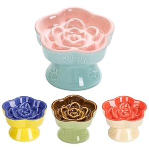 S&Q’s CERAMICS Raised Slow Feeder Cat Bowl, Ceramic Elevated and Titled Glass Food Bowl Small Dogs Slow Feeder, Flower Shaped Cute Cat Dish for Dry and Wet Food (Pink, 5.8″)