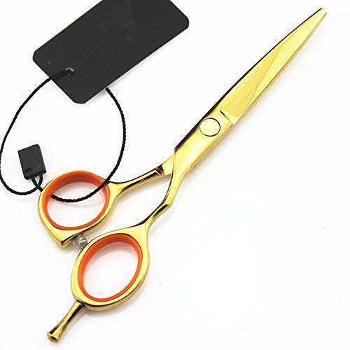 Ciseaux de coiffeur professionnels japonais 5,5 pouces pour technique effilage et salon