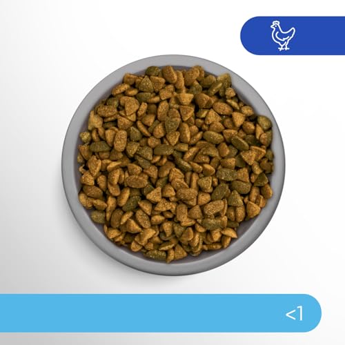 Perfect Fit Junior <1 Kompletna sucha karma dla kotów poniżej 1 roku, bogata w kurczaka, 1 worek (7 kg)