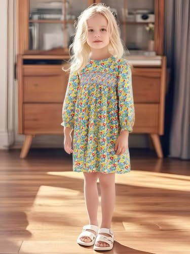 Hongshilian Girl's Cotton Christmas Dress Cute Cartoon Appliques Long Sleeved Swing A-Line Casual Tunic Playwear3