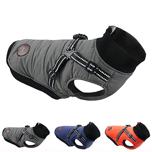 Veste pour chien avec harnais gilet coupe-vent thermique et bandes réfléchissantes