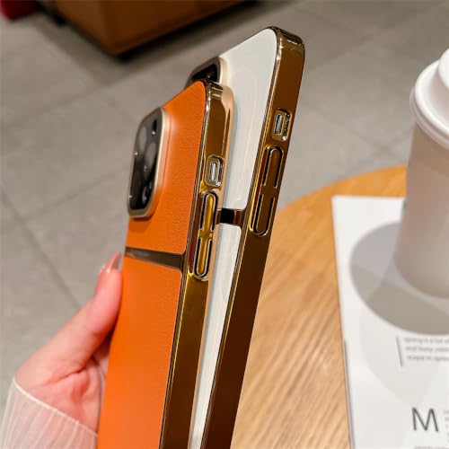 Coque iPhone 14 Pro Max cuir avec protecteur objectif dur et rigide - 3