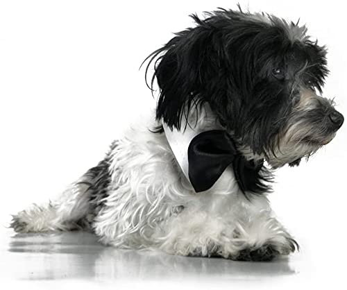 Anjing White Black Bow Tie Cat Kitten Tuxedo Wedding Bow Tie Collar - Image 9