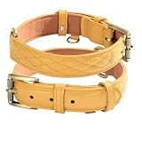 Beanspet 犬用首輪 本革 キルティング加工 小型犬 中型犬 大型犬対応 おしゃれカラー 丈夫なダブルステッチ スエード裏地 XS〜XLサイズ対応 レザーカラー (イエロー, S)