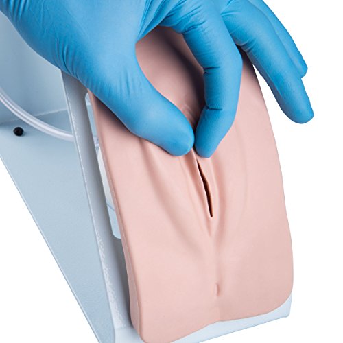 Image of 3B Scientific 1020842 Catheterization Simulator Female & Male Set Basic
