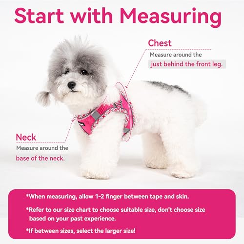Image of Petank Dog Harness for Small Medium Dogs No Pull, Puppy Harness and Leash Set, Step in Dog Harness for Walking, Running, Training, Small Dog Vest (Pink, S)