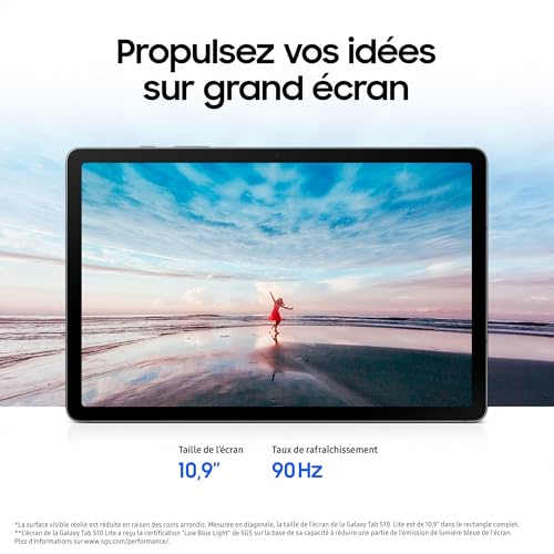 Samsung Galaxy Tab S10 Lite, 10.9", Wi-Fi, 256Go, Tablette Android, S Pen Inclus, Gris, Chargeur Secteur Rapide 25W Inclus, Version FR - 4