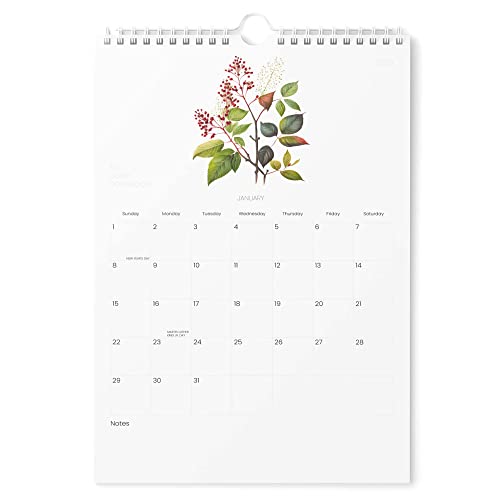 Calendar 2023 - Vertical 11X17 2023 Wall Calendar Runs Until June 2024 - Easy Planning With The 2023 Calendar - Aesthetic Wall Calendar 2023-2024 Monthly - Karto - Tiny Plants #TOP9