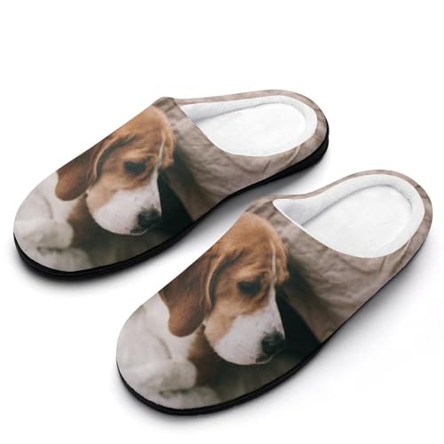 [STEBVI] Xbp   TbJ[{[ [V[Y  nEXXbp  Y fB[X  ~ g 􂦂 qp p jp v[g