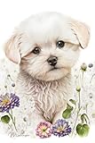 malta milano voli oggi  Maltese Password Book: Cute Maltese Puppy Dog Internet Address and Password Organizer with Alphabetical Tabs and Index