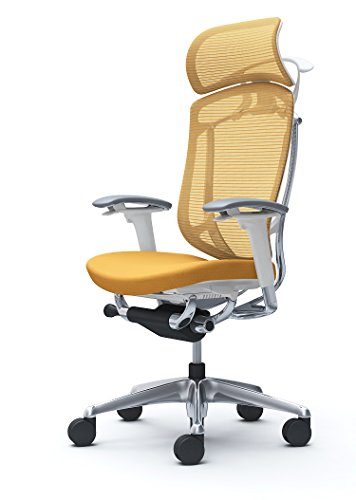 �I�J���� �R���e�b�T �Z�R���_ �I�t�B�X�`�F�A �G�N�X�g���n�C�o�b�N ��^�Œ�w�b�h���X�g �A�W���X�g�A�[�� �E���^���L���X�^�[ ��:�N�b�V���� �C�G���[ CC88XW-FPD9