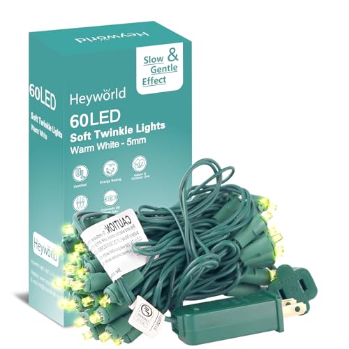 Heyworld Slow Twinkle 60 LED Lights, 17ft Warm White