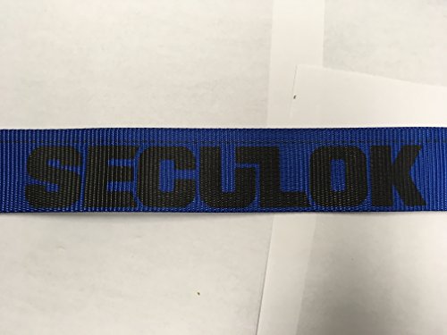 Seculok 2" X 20' Logistic Ratchet Etrack Strap With E/A Series Spring Fitting #TOP2