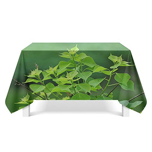 Aeici Mantel lavable hojas Camino de mesa poliéster Mantel para mesa de salón, Diseño 7, 140 cm x 140 cm