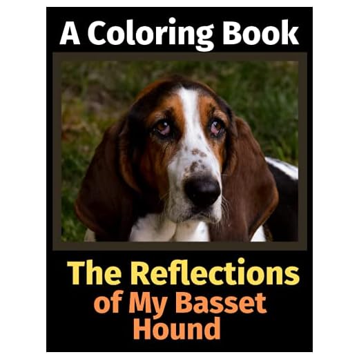 The Reflections of My Basset Hound: A Coloring Book
