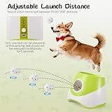 Ballwurfmaschine Hund Test