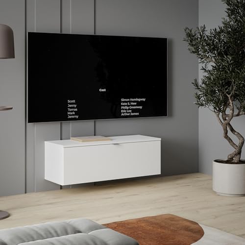 FORTE LIBERTAD moderner Fernsehtisch TV Schrank Lowboard 100 200 300 für Fernseher 55 65 80 Zoll, Wohnzimmer, hängend oder stehend, Weiß Matt, 99,9 cm breit x 35,4 cm hoch x 34,8 cm tief FORTE LIBERTAD moderner Fernsehtisch TV Schrank Lowboard 100 200 300 für Fernseher 55 65 80 Zoll, Wohnzimmer, hängend oder stehend, Weiß Matt, 99,9 cm breit x 35,4 cm hoch x 34,8 cm tief