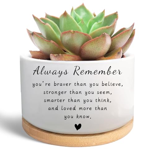 WSLCHOVE Inspirational Gifts for Women, Cute Succulent Plant Pot, Cactus Flower Planter for Plant...