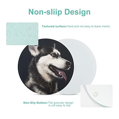 Planche à découper Husky en verre de 20 cm pour cuisine - 4
