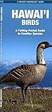 Hawai'i Birds: A Folding Pocket Guide to Familiar Species (Pocket Naturalist Guides) - Waterford Press Inc. 