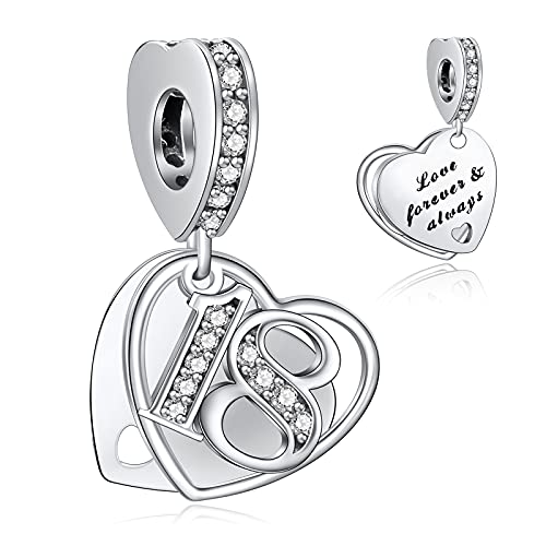 NINGAN 18 Numero significativo di ciondoli per Pandora Charm 925 Ciondoli in argento Collana con perline, Charm pendente per compleanno Anniversario Festa della mamma