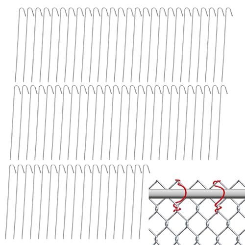 Jescion tFX^C | 100 `F[NtFXtbN^C - A~jE ړI Œ c[ Z  O  Vя Ή