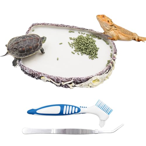 Large Reptile Water Dish, Bearded Dragon Food Bowl, Resin Tortoise Feeder Kit, Aquarium Terrarium Accessories, Feeding Bowl for Amphibian Hermit Crab Turtle Lizard Chameleon Frog - 8 × 6 × 0.8 inch