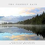 Acoustic Quarter and Mellow Melodies