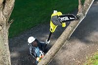 RYOBI 18 V ONE+ Akku-Hochentaster RPP182020, Schwertlänge 20 cm, Kettengeschwindigkeit 5,5 m/s, inkl. 2,0 Ah Akku und Ladegerät – Ansicht 5