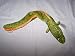 TY Beanie Baby MORRIE the Moray Eel Sea Snake 16"