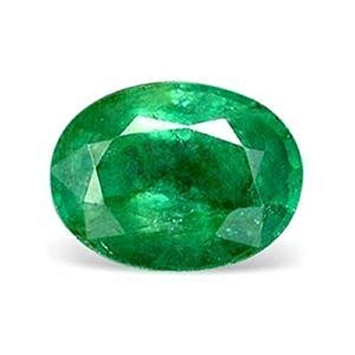 �U���r�A�G�������h�X�g�[�� 5.25 ���b�e�B���{�F��G�������h�X�g�[���p���i ���{�ؖ����t��