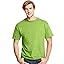Lime - 4 Pack Lime - 4 Pack