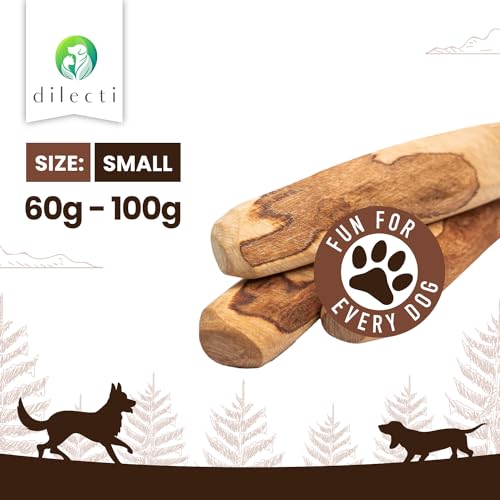 Dilecti Olive Wood Dog Chews, Natural Dense Hardwood Stick, Long-Lasting Dental Care Chew Toys with Antioxidants - Image 2