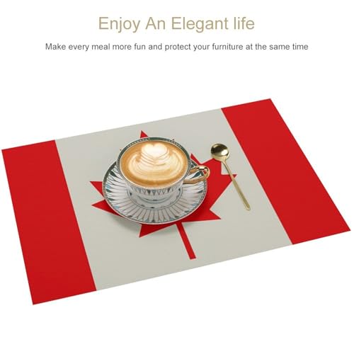 Sets de table drapeau canadien pour repas en intérieur et extérieur