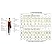 Black,11_13Years,Girls' Figure Skating Training Dress Classic Gymnastics Leotards Solid Color Ice Skating Performance Skirt Long Sleeves