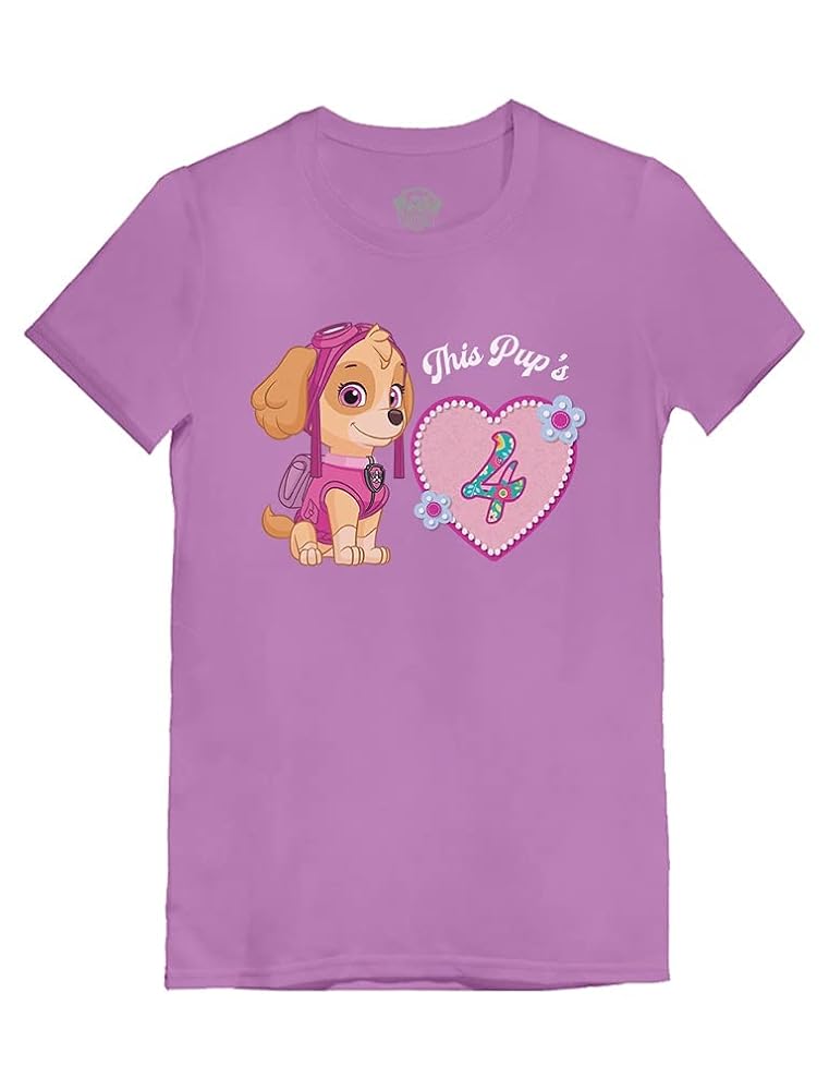 Amazon.com: Tstars Official Paw Patrol Skye 4th Birthday