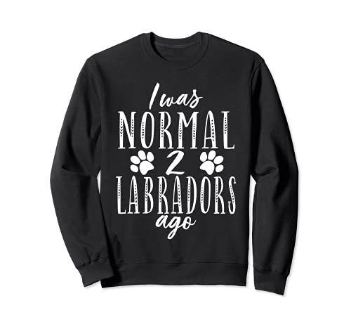 Labrador Dog Lab Lover Retriever Owner Men Women Kids Funny Sudadera