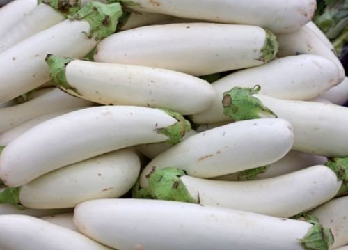 Casper Bianco Melanzana francese Melanzana Heirloom Végétale sans OGM - 10 Semi