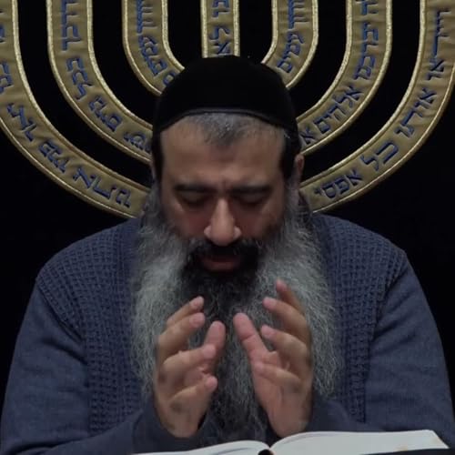 שיעור 10 תומר דבורה פרק ב 02