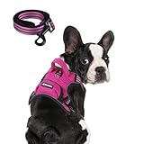 BUMBIN Dog Harness for Large Dogs, No Pull Adjustable No Choke Pet Vest with Dog Leash Fit Smart Reflective Pet Walking Harness for Training Easy Control Soft Handle Rose Red S