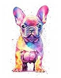 HUANTY Wandbilder auf Leinwand Farbe Haustier Porträt Leinwand Poster Aquarell Hunde Französische Bulldogge Shiba Inu Malerei Tier Kunstdruck Zimmer Home Decor(D,50x70cm)