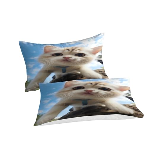 Housses de couettes microfibre double chats parure de lit douce pour peau sensible