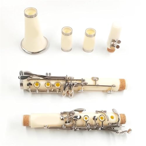 Bb�N�����l�b�g ABS�{�f�B�f�� 17�L�[ �}���`�J���[�I�v�V���� ���S�҃N�����l�b�g(E104)