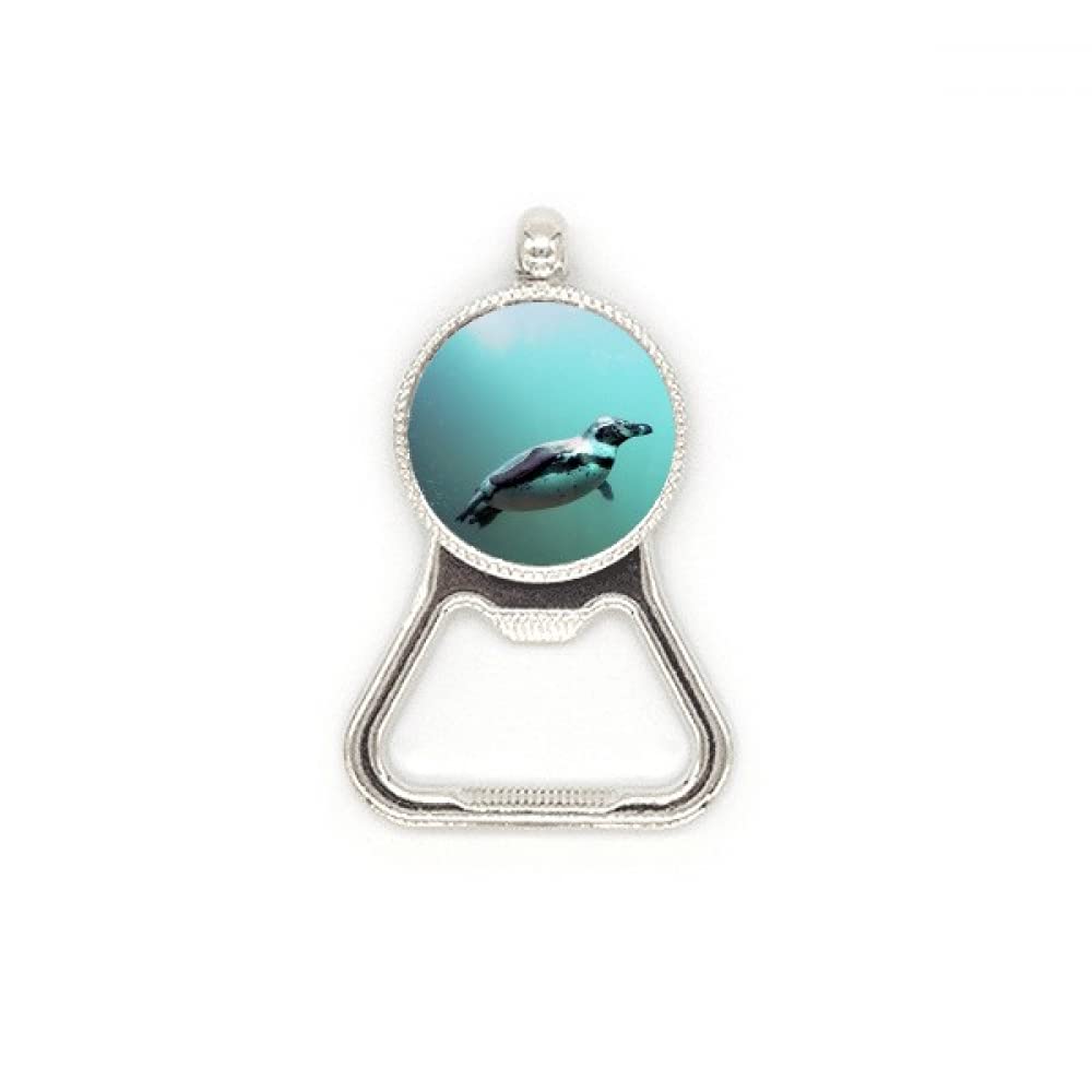 Décapsuleur en acier inoxydable pingouin idée cadeau originale bar